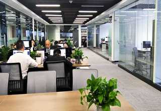 舟山气动真空安全阀