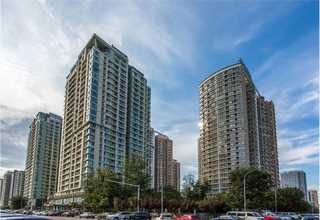 江苏本地美国橡木桶厂家直销