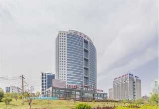 滨湖区白蚁防治方法